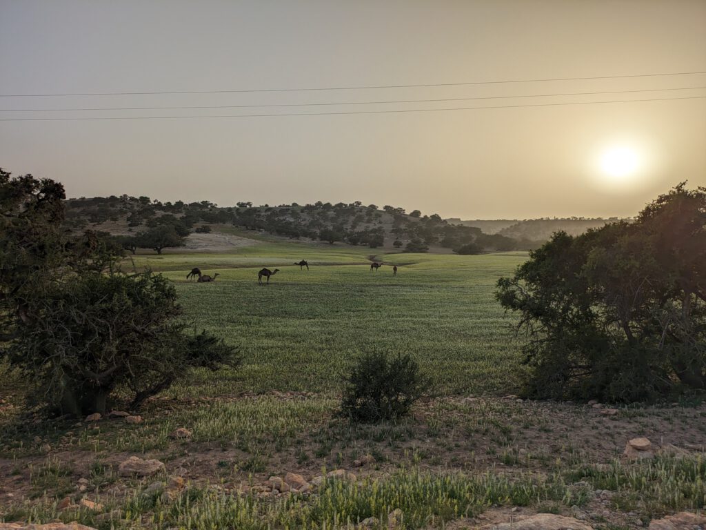 PXL_20240414_183314833