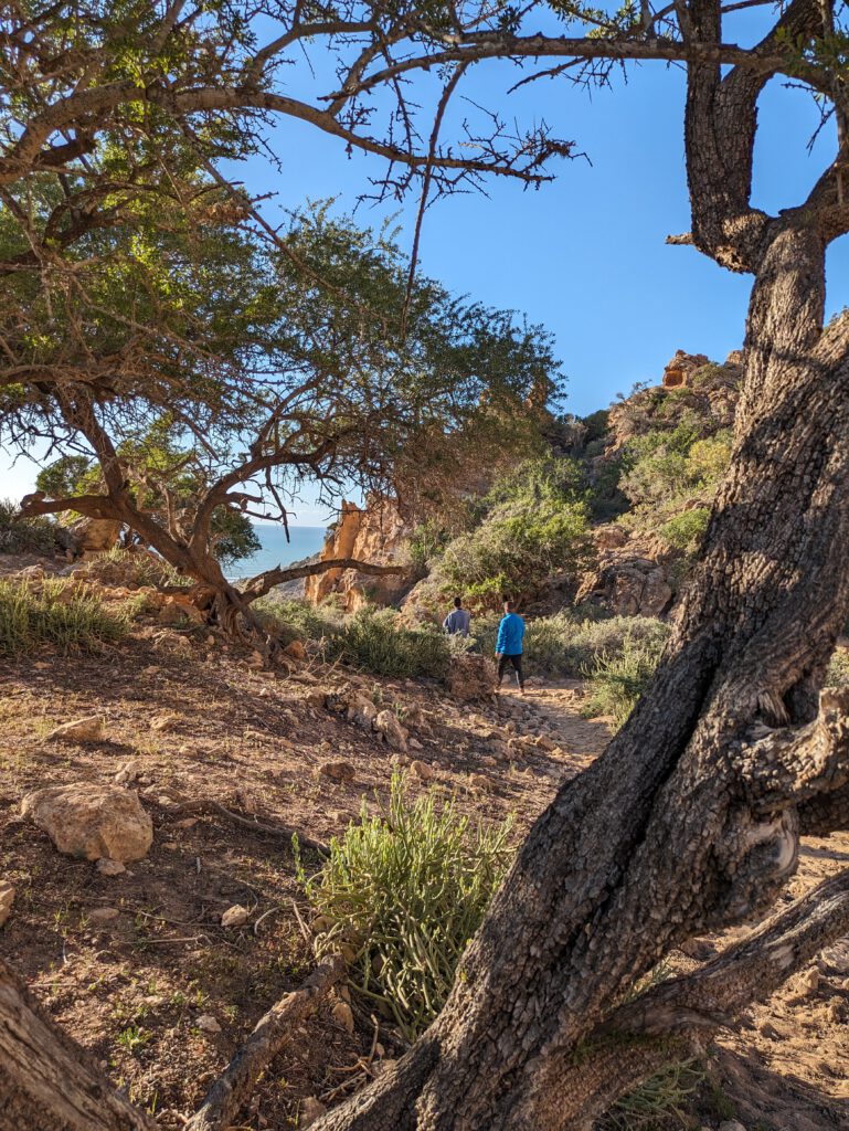 PXL_20240428_174540925